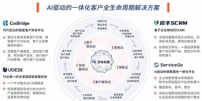 蝗虫最新报告，全球影响与应对策略分析