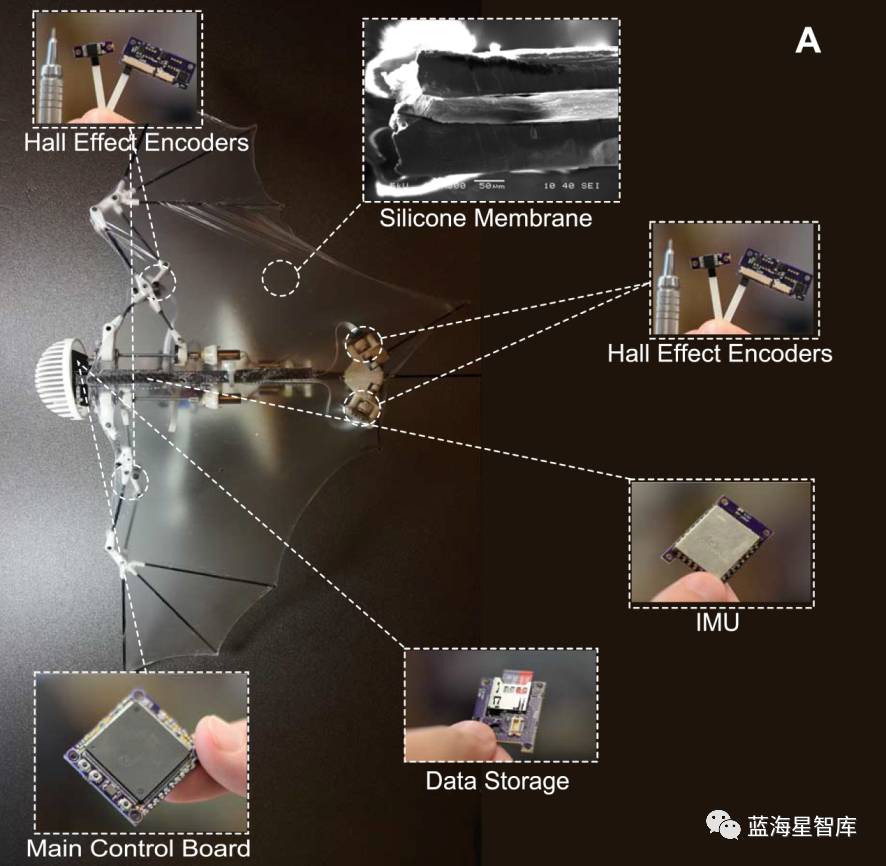 电击器最新技术与应用，探索前沿科技的力量