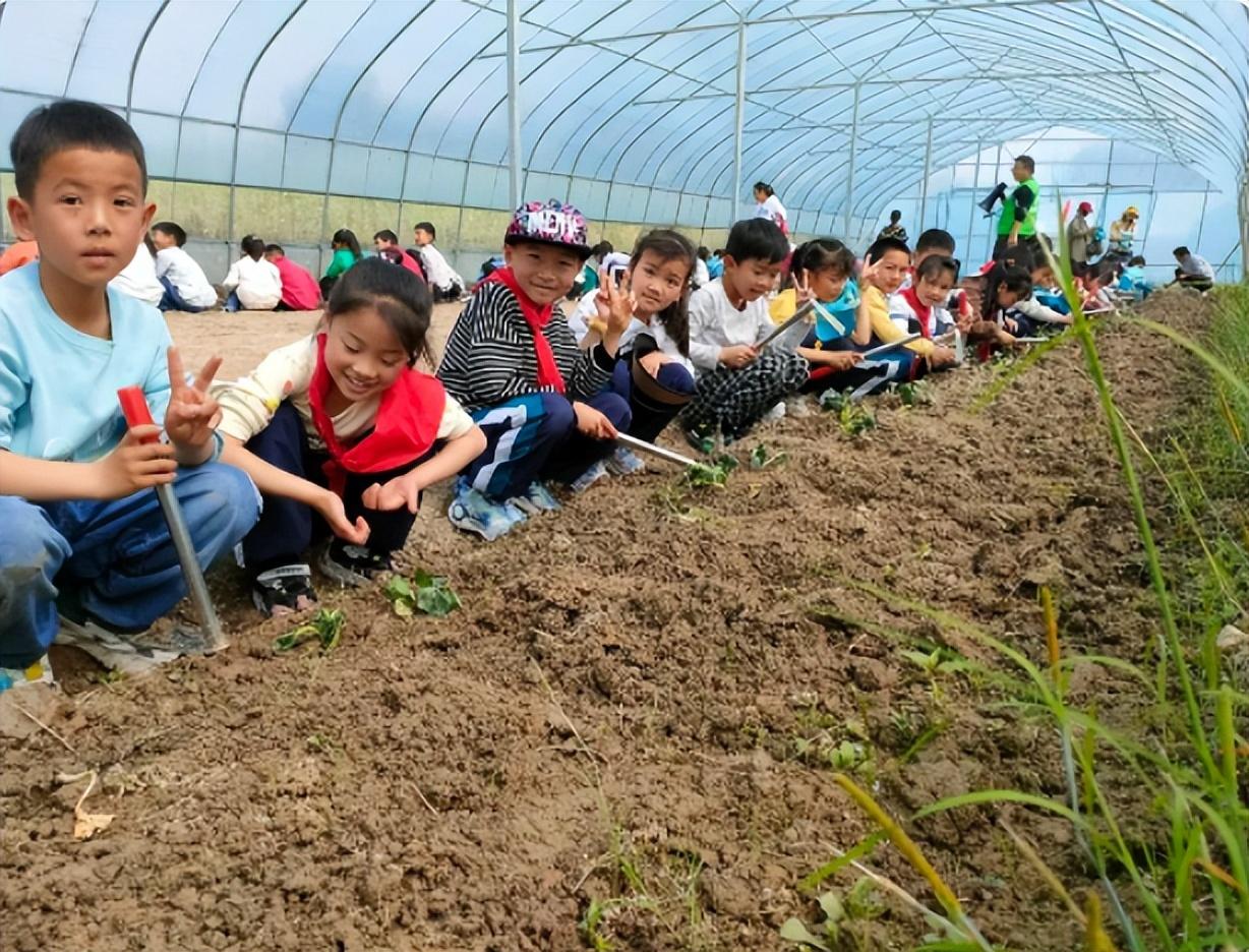 趣播最新动态，引领直播新时代，打造全新互动体验