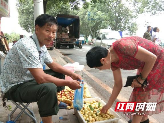 柚子最新代，探索其独特魅力与价值