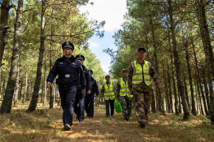 最新森警改革，重塑森林保护的力量