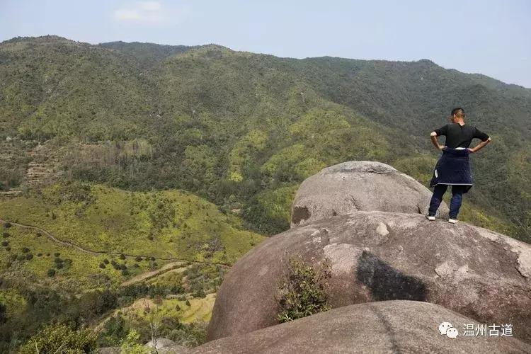 最新电影仙探秘，奇幻之旅的巅峰之作