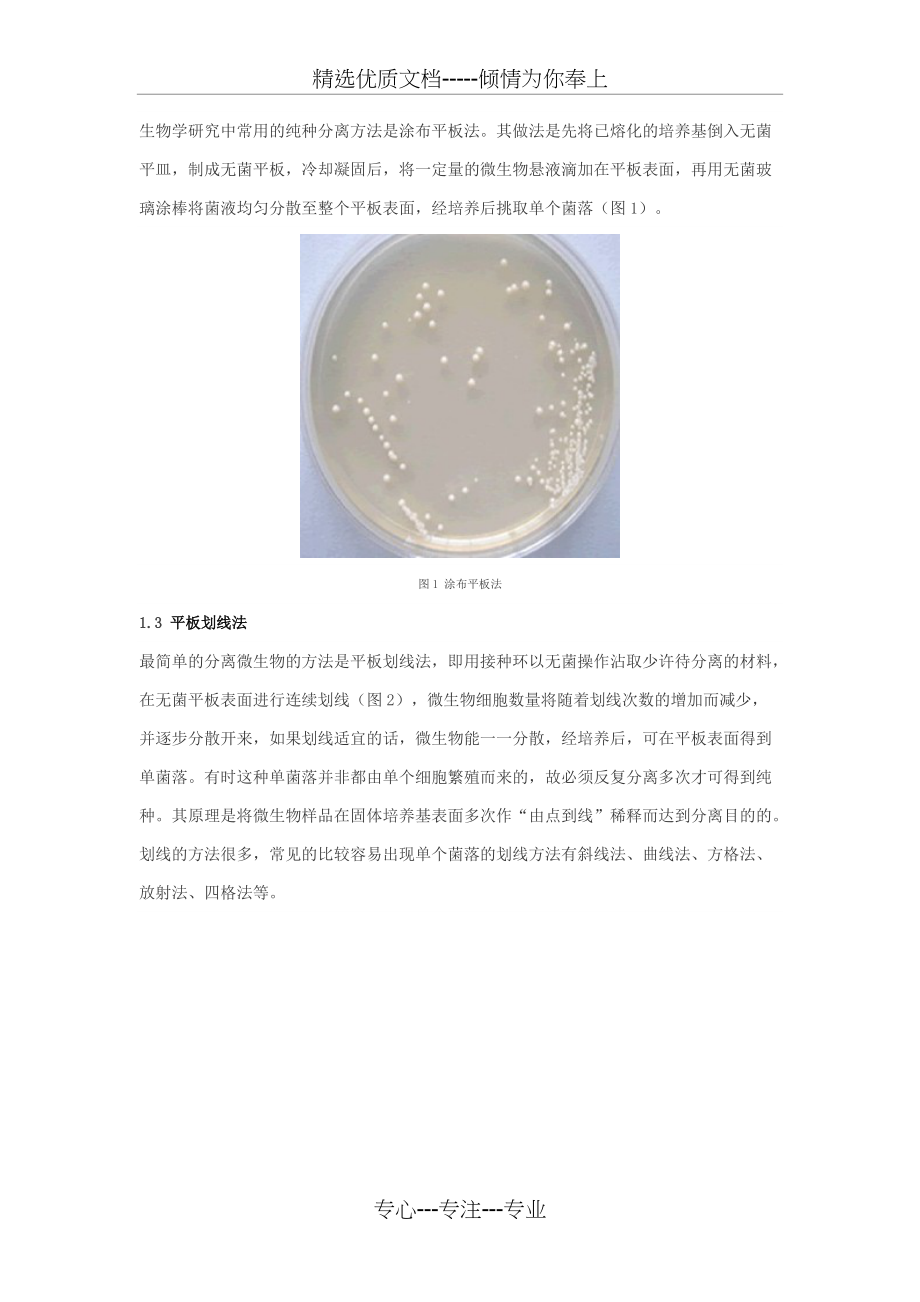 最新分离菌株的研究与应用