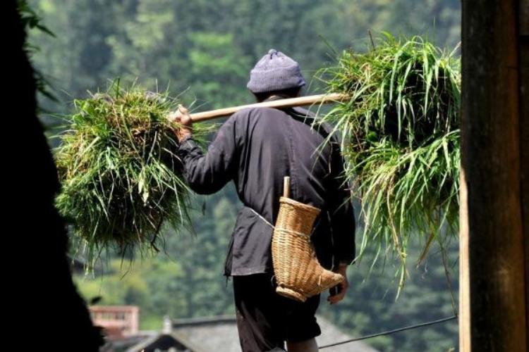 最新最臭的现象深度解析