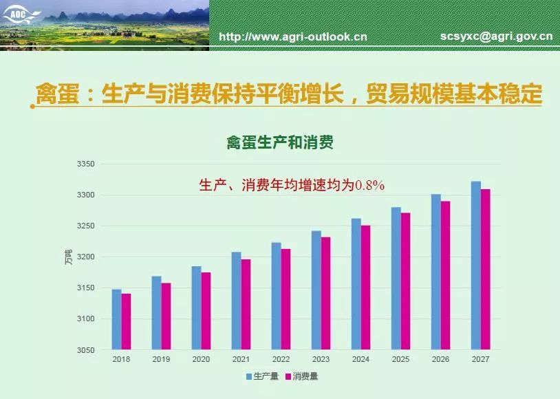 最新资料快报，揭示未来趋势与热点分析