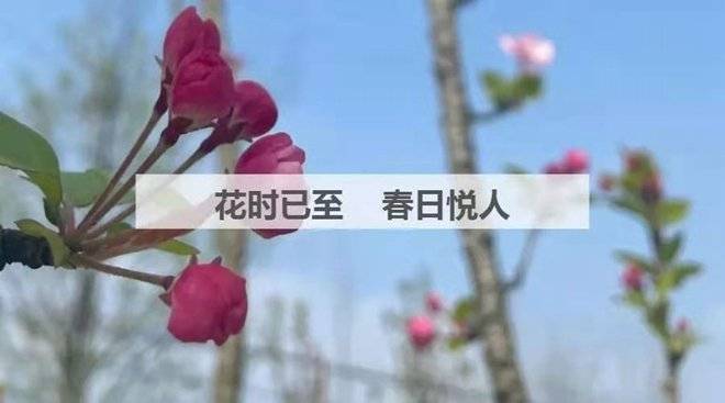 蒙芽最新，探索未知，绽放新生