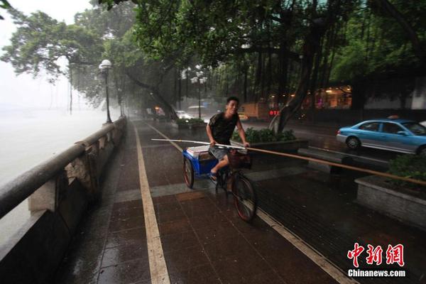 广州遭遇最新台风袭击，抗击风雨，共筑安全防线